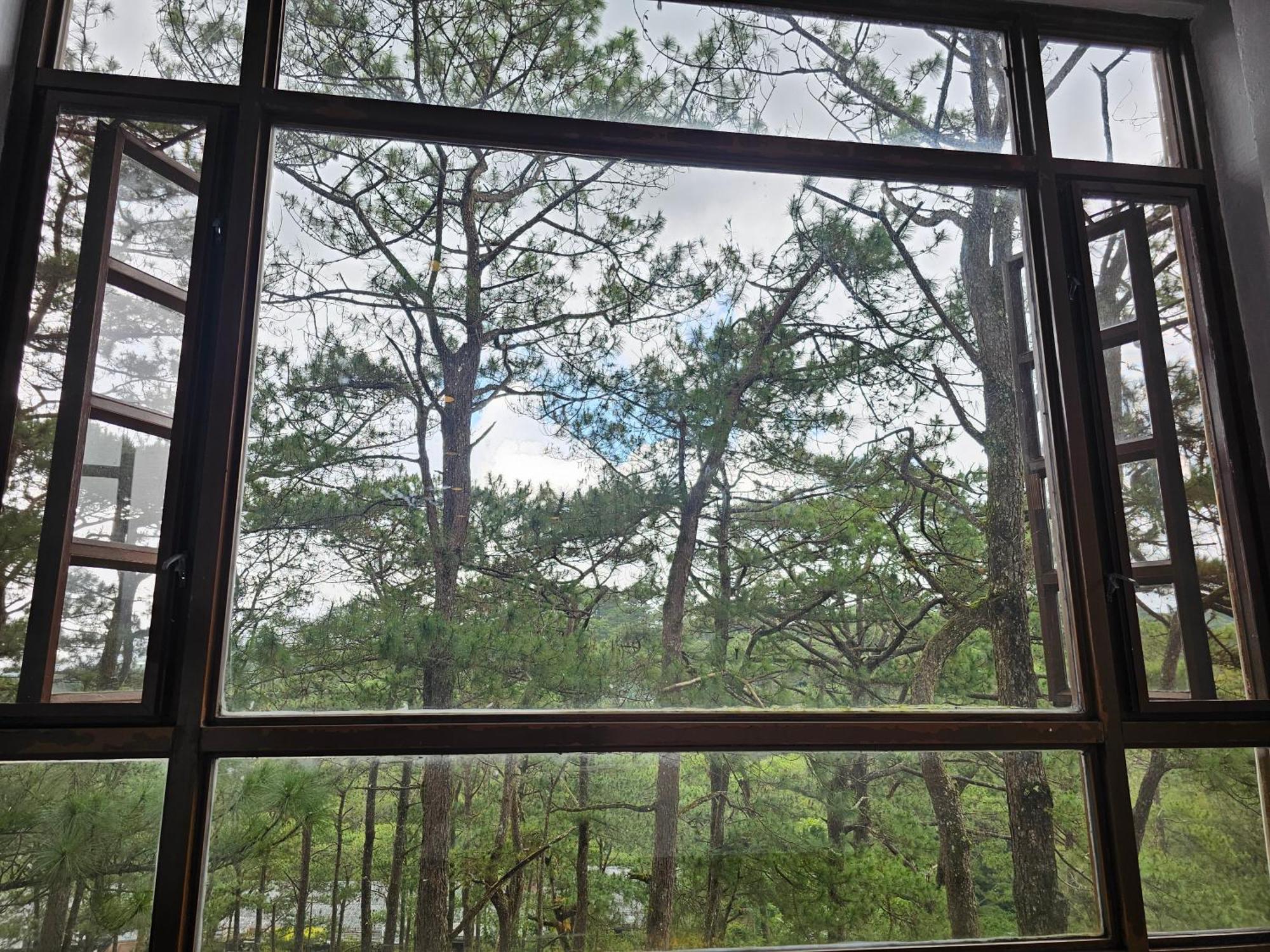 Baguio Forest Lodge At Camp John Hay 001A Baguio City Exteriör bild